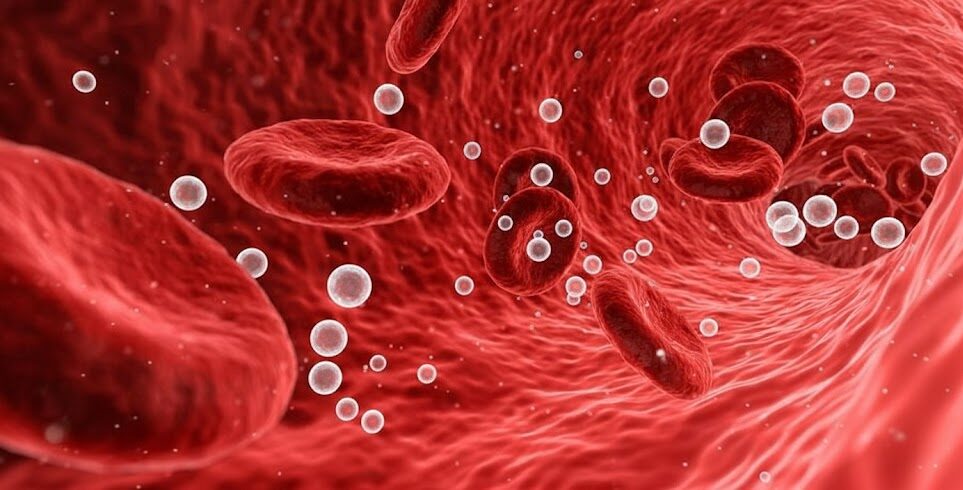 Blood flow improvement illustration